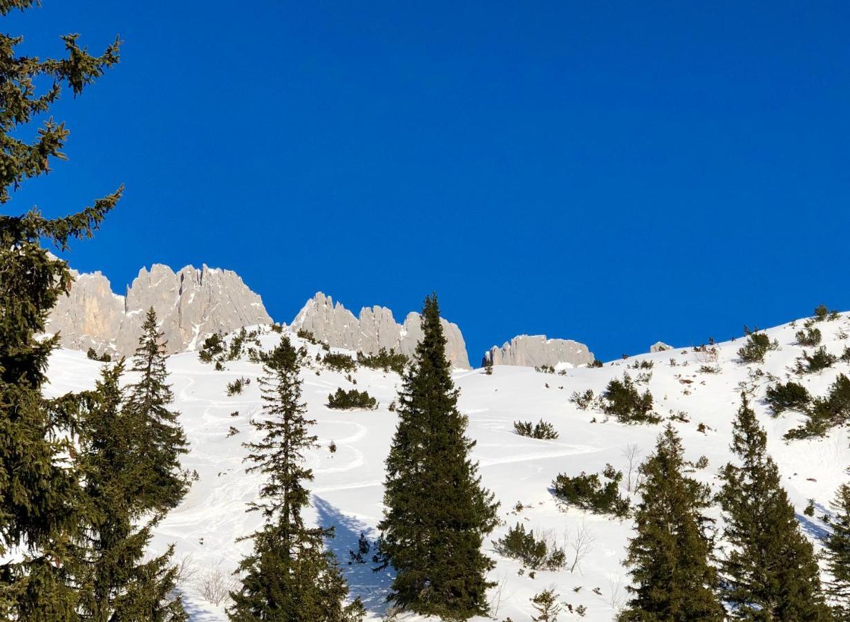 Hotel Alpin Tyrol - Kitzbueheler Alpen Sankt Johann in Tirol Exteriör bild